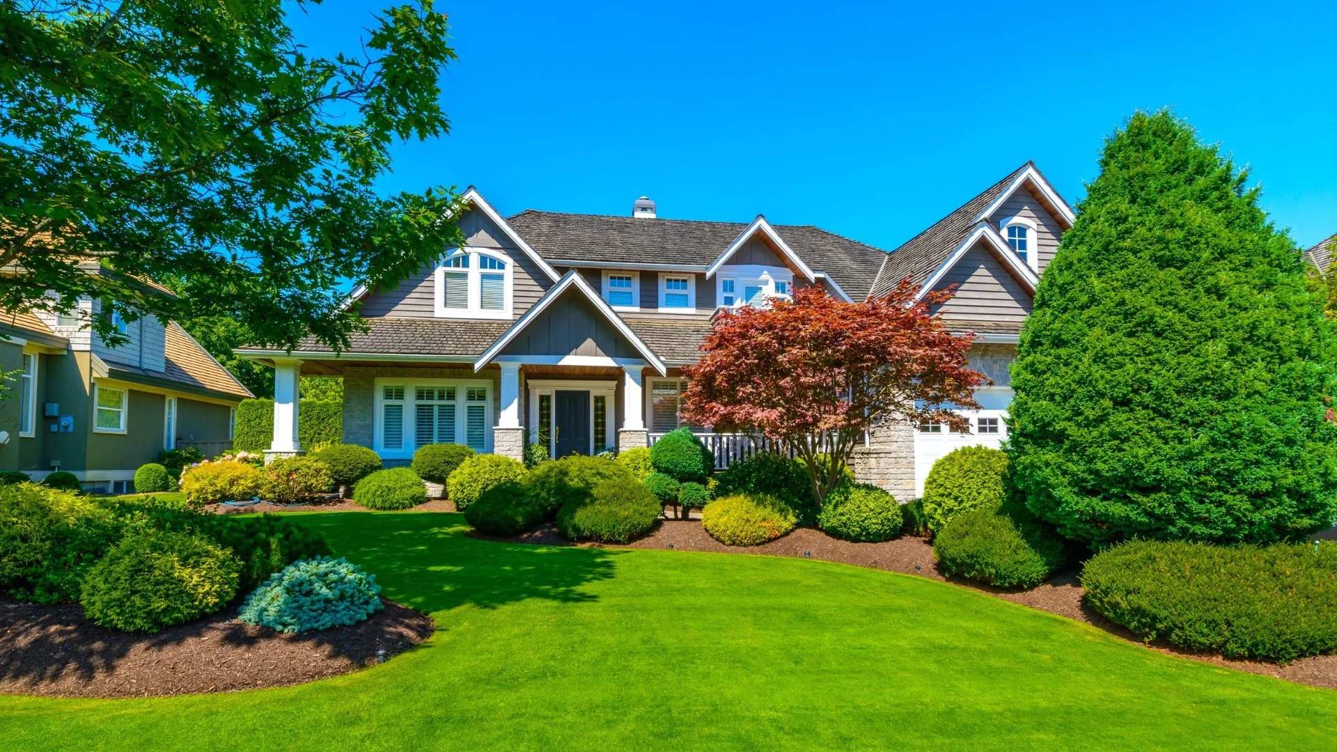 Evergreen Plants That'll Add Year-Round Color to Your Landscape