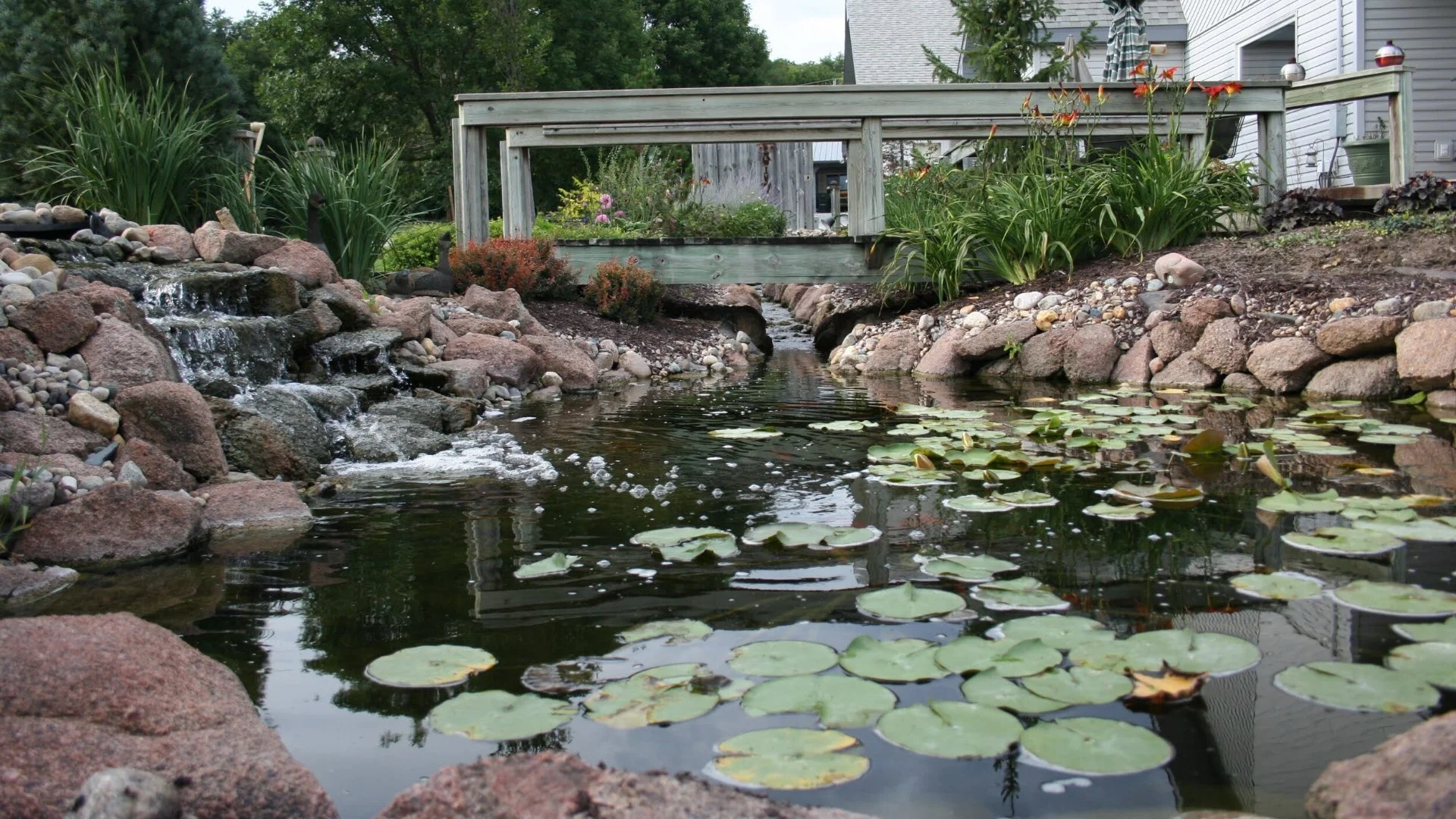 Will a Water Feature Attract Mosquitoes?