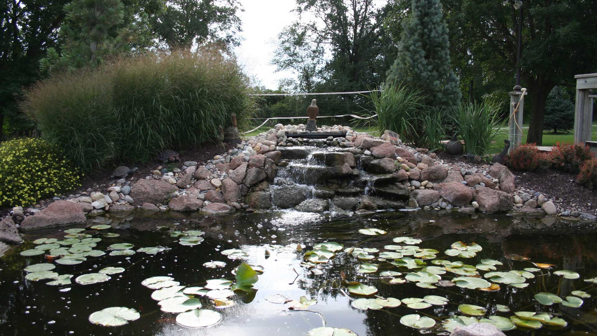 Pond with waterfall water feature in Omaha, NE.