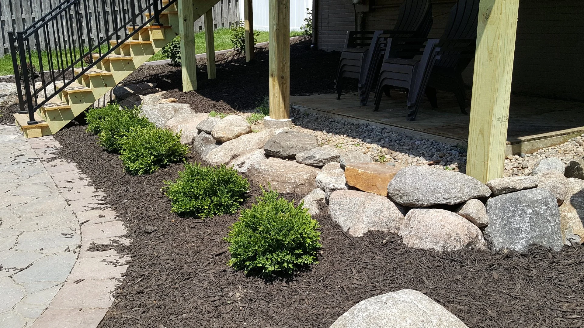 Native Plants: The Perfect Additions to Your Landscape!