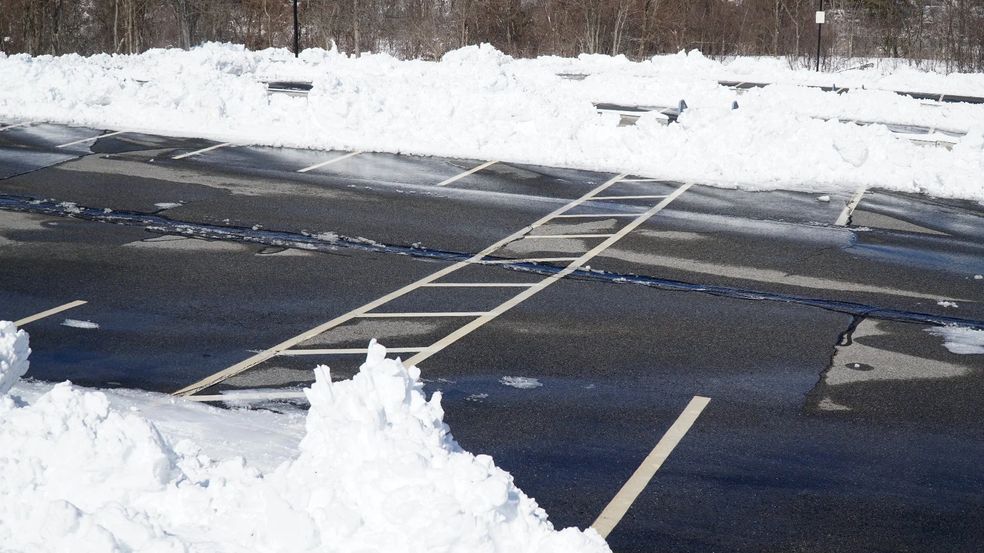 Best Time to Enroll in a Commercial Snow Removal Service