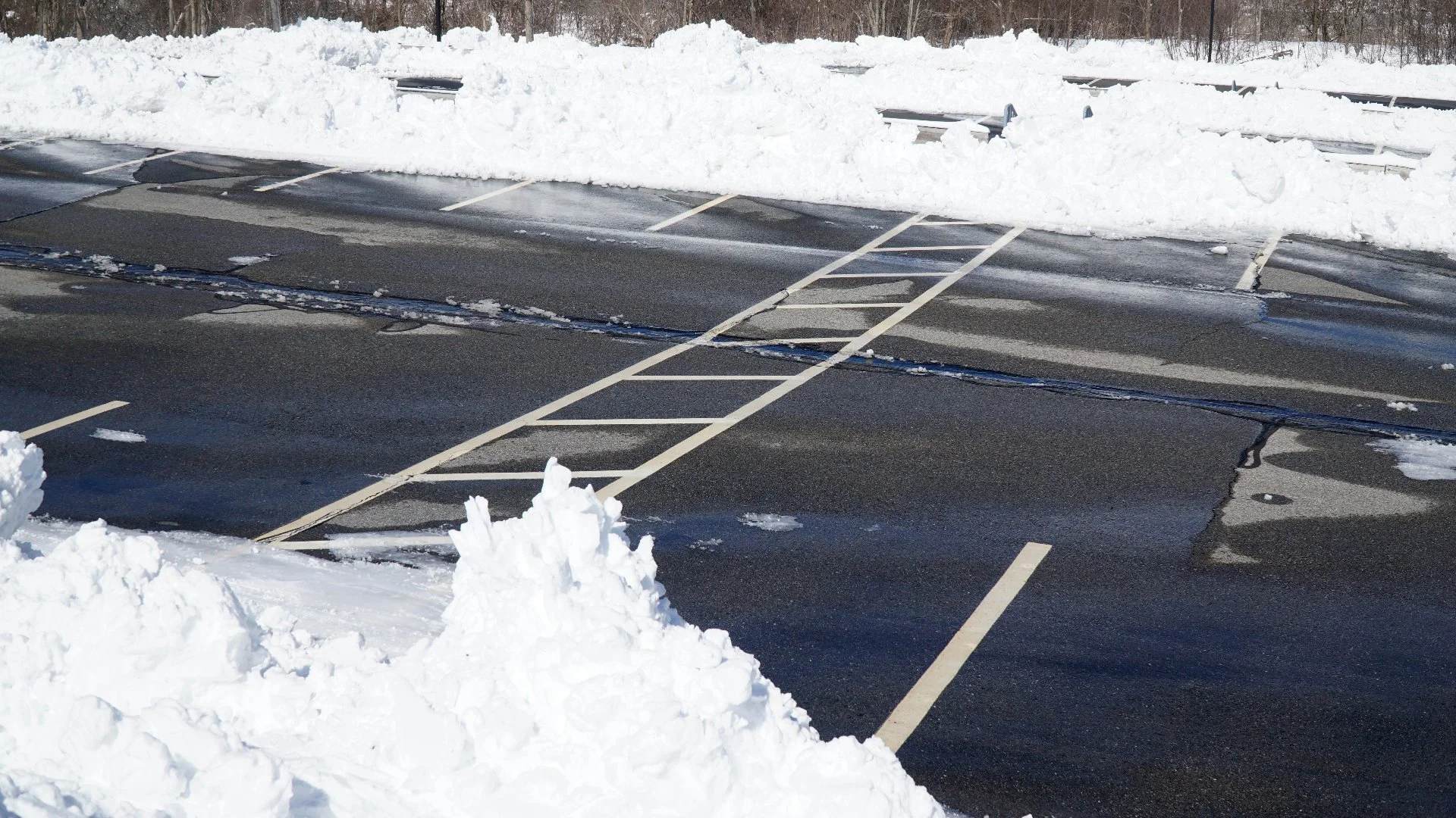 What You Should Look for Before Hiring a Commercial Snow Removal Company