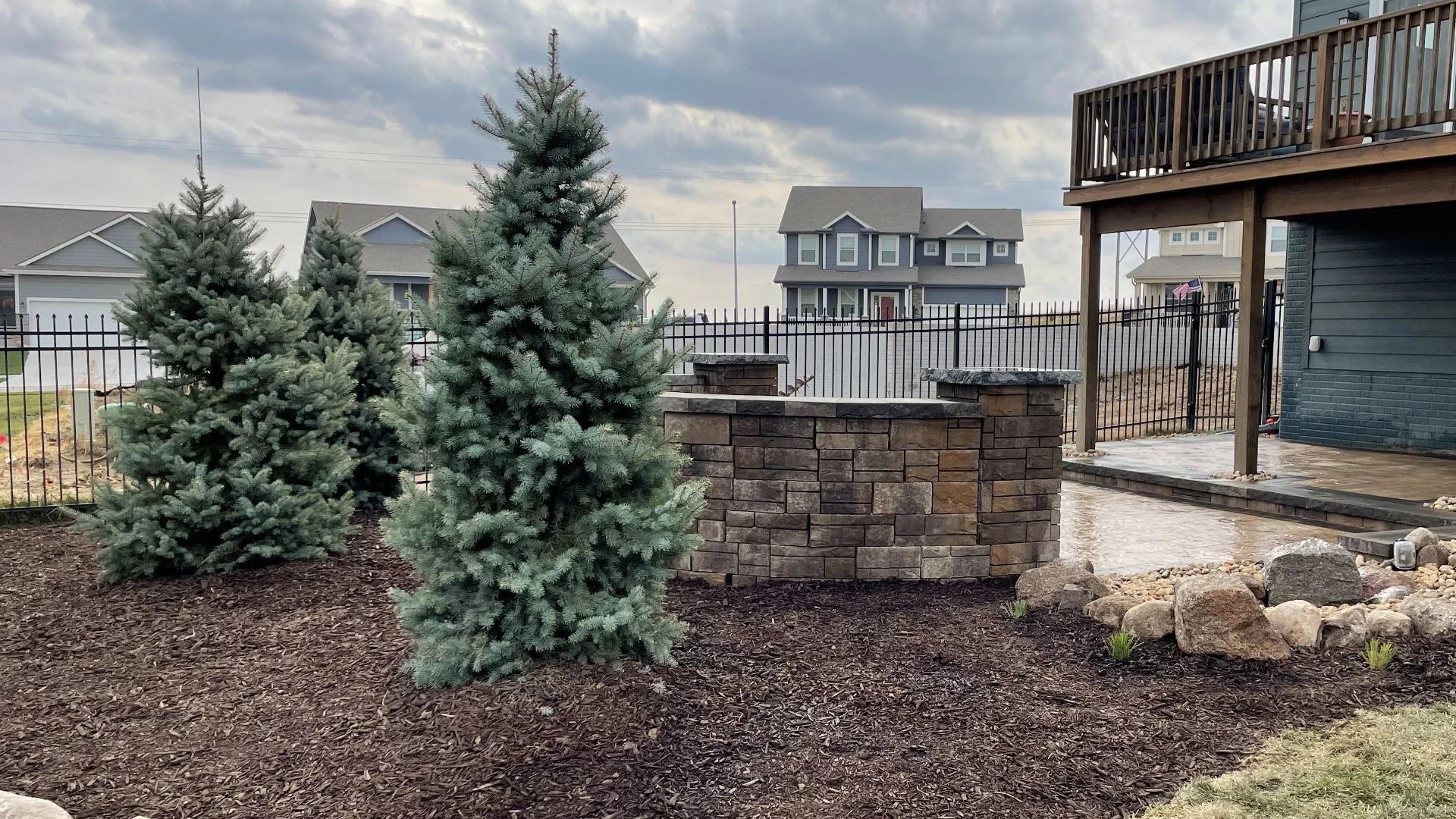 Consider Incorporating These Trees Into Your Landscape!