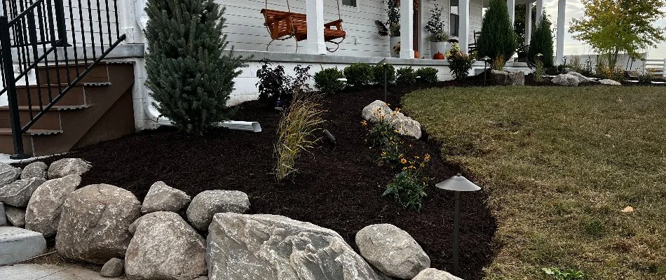 Black mulch in a landscape bed in Omaha, NE.