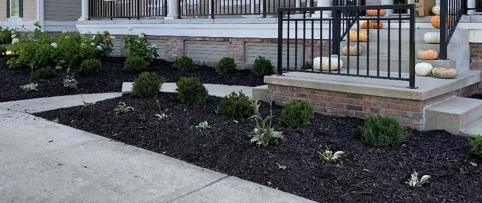 Fresh mulch on a landscape bed in Omaha, NE.