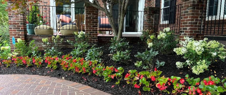 Landscape bed in Omaha, NE, with mulch, flowers, and a tree.