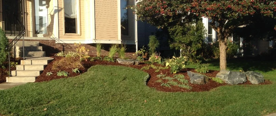 Landscape bed in Omaha, NE, with mulch and plants beside a lawn.