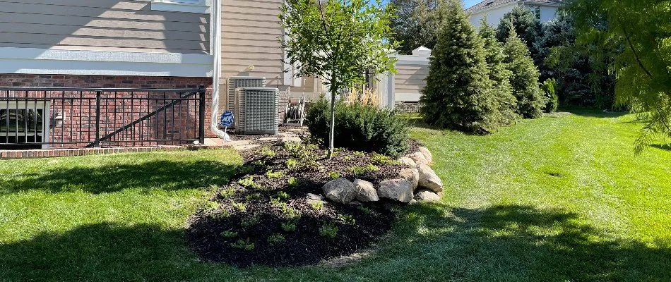 Mulched landscape bed in Omaha, NE, with shade and sun exposure.