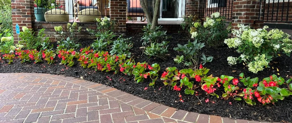 Brick walkway along a mulched landscape bed in Ralston, NE.