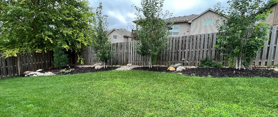 A green grass and trees in a backyard in Wahoo, NE.