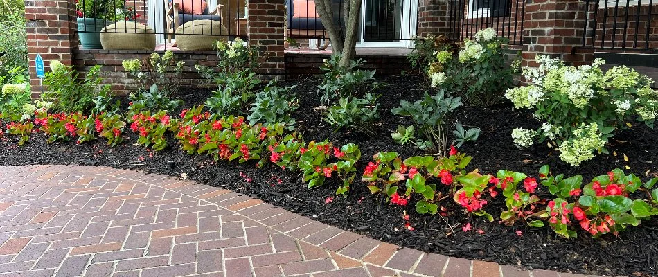 Landscape in Chalco, NE, with mulch and colorful flowers.