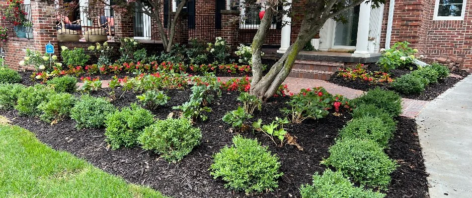 Landscape in Springfield, NE, with mulch, shrubs, flowers, and trees,