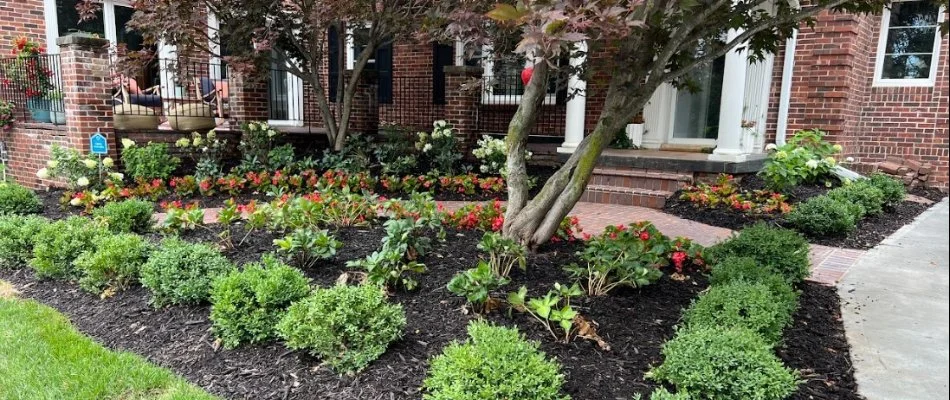 Mulch in a landscape bed in Omaha, NE.