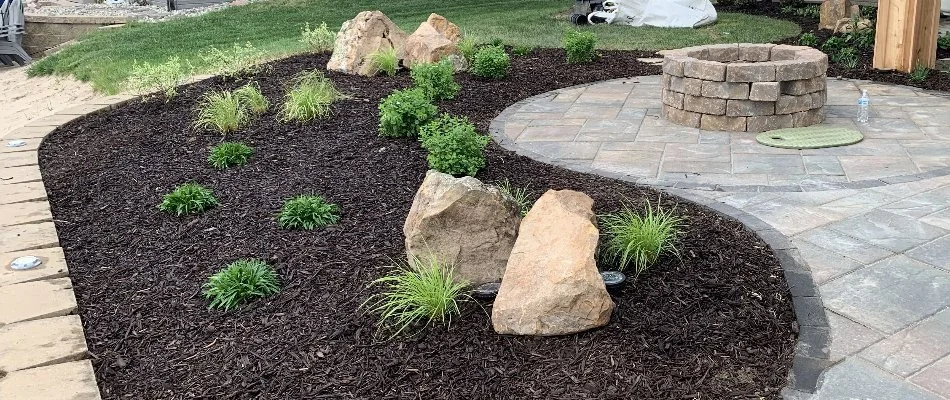Mulched landscape bed in Carter Lake, IA, with small green plants.