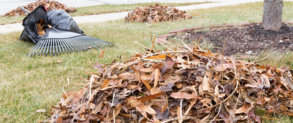 Piles of leaves and debris in a lawn in La Vista, NE.
