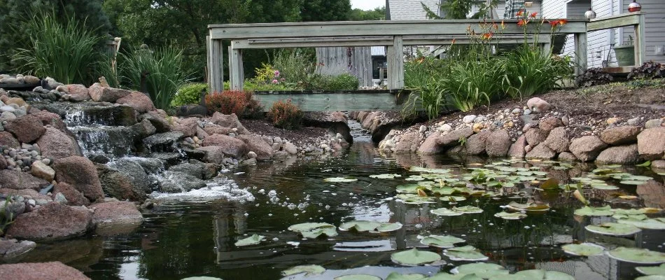 A water feature on a property in Arlington, NE, with lily pads.